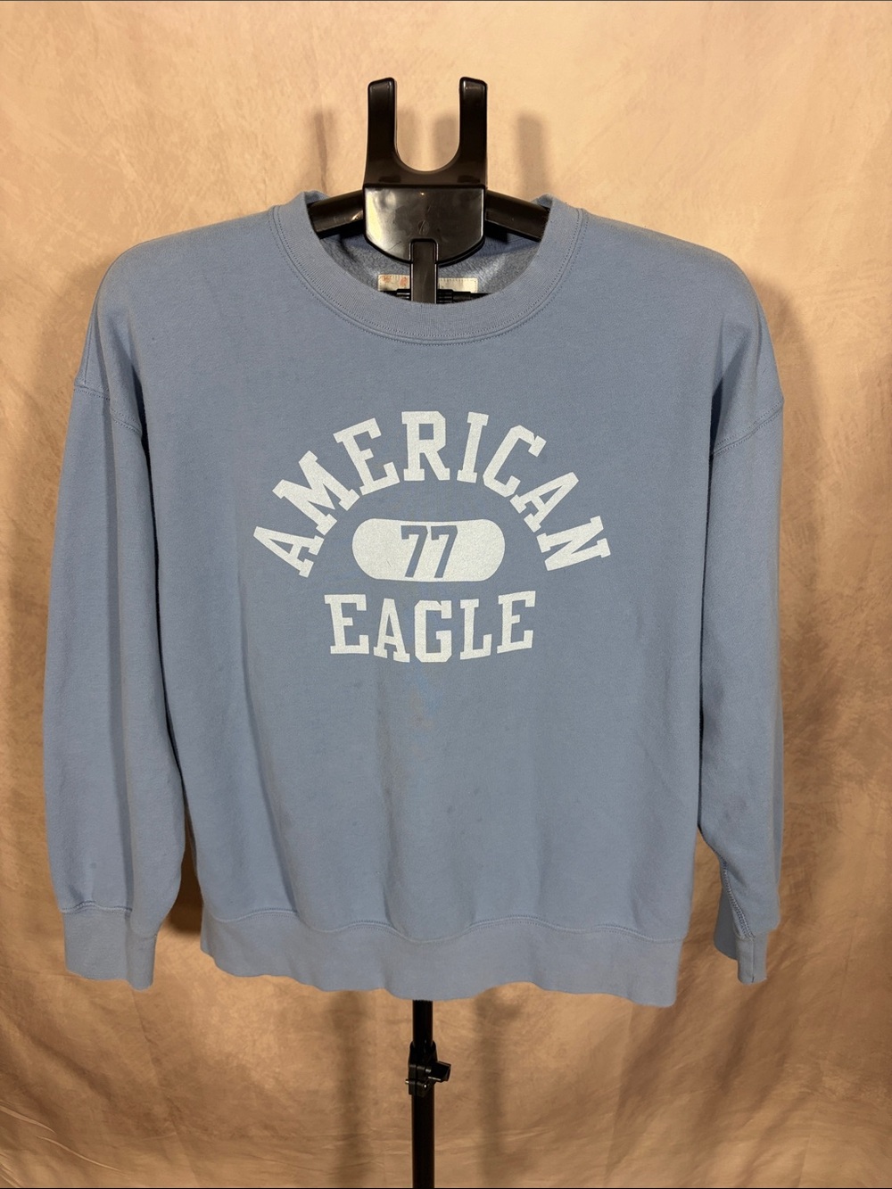 American Eagle Outfitters Light Blue Crewneck with White Logo